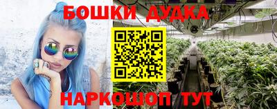 скорость Шелехов